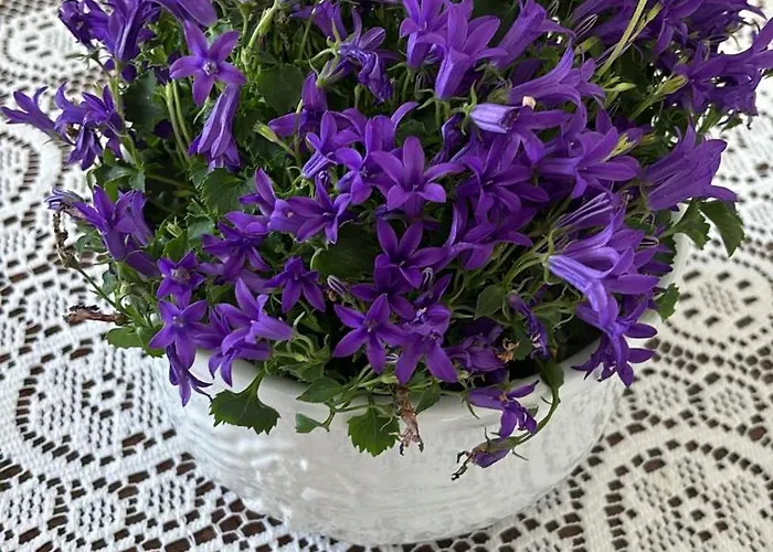 Ubytování v soukromí Casa Ricciulella Capri